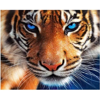 Очите на тигъра 40/30 см