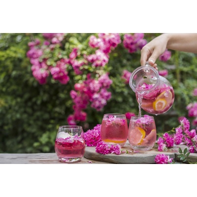 BIO Levandule Chodouňská Růžový den v Levandulovém údolí