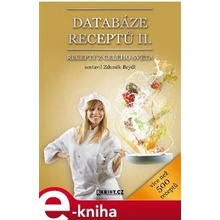 Databáze receptů II.. Recepty z celého světa - Zdeněk Brýdl