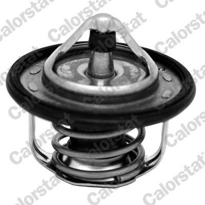 Termostat, chladivo CALORSTAT BY VERNET TH7300.95J