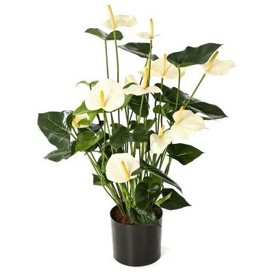 Umelá rastlina anturia Anthurium bush cream 78 cm