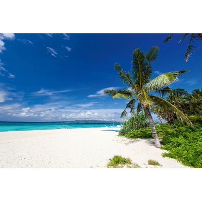 DIMEX ART Флизелинов фототапет плаж пука шел 375 x 250 см