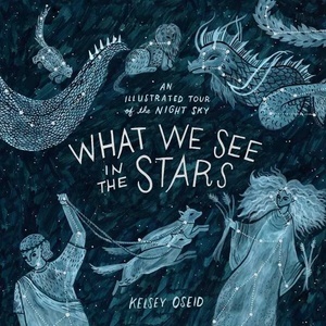 What We See in the Stars (ISBN: 9780752266510)