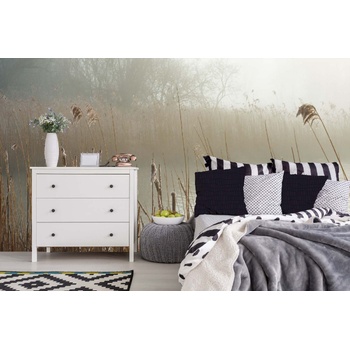 DIMEX ART s. r. o Самозалепваща се флизелинова фототапета мъглив бряг 375 x 250 см