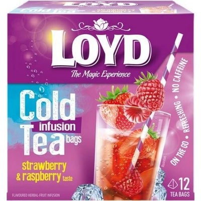 Loyd Tea pyramida cold brew jahoda malina 30 g