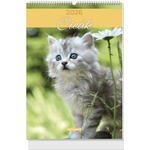 Lizzycalendar Стенен календар lizzycalendar b/4, вертикален, със спирална подвързия, „Котки 2027 (7540226000)
