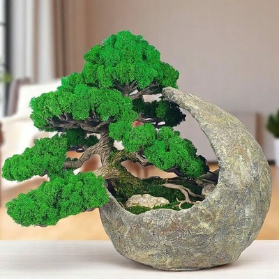 Bezúdržbový bonsai v betonovom kvetináči, machová interiérová dekorácia