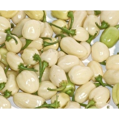 ? ️ Семена от люти чушки White Molly / White Bullet Habanero - 15 броя (207850)