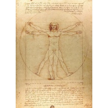 Enjoy Leoardo da Vinci: The Vitruvian Man 1000 dielov