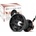 Bellissima My Pro Diffon DF1 3000