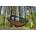 DD Hammocks Frontline King Size