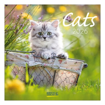 Korsch Verlag GmbH Cats 2026