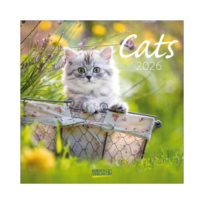 Korsch Verlag GmbH Cats 2026 | Korsch Verlag