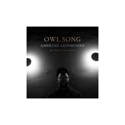 Ambrose Akinmusire - Owl Song CD