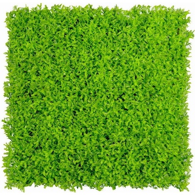Umělý živý plot ASPLENIUM třída nehořlavosti B, 4ks dílce 50x50cm