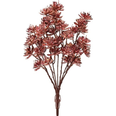 ZÁPICH ZELEŇ SUKULENT BIELO-BORDOVÁ 38CM