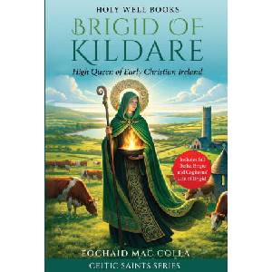 Brigid of Kildare (ISBN: 9781069942548)