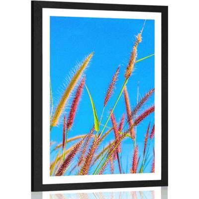 Plakát s paspartou divoká tráva pod modrou oblohou - 20x30 white