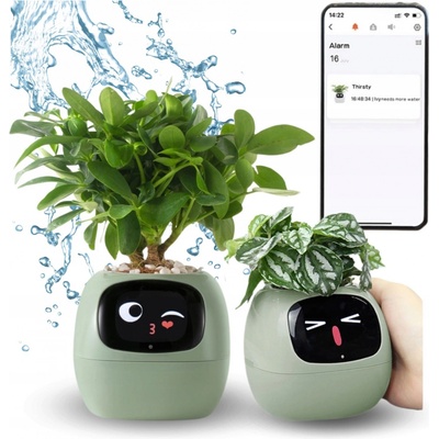 Plantsio Ivy zelený