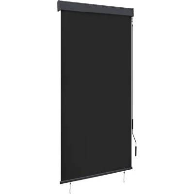 VidaXL Venkovní roleta, 100 x 250 cm, antracitová