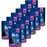 Brit Капсула BRIT Premium Cat Пиле и Индийско орехче 12 x 100 г