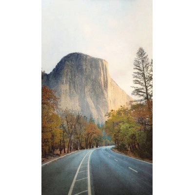 ML1201 Vliesová fototapeta na stenu rozmery 1,59x2,8 m