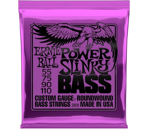 Ernie Ball 2831