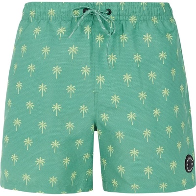 Protest Бански гащета Protest Alvis swimming shorts - Green (Frost Green)