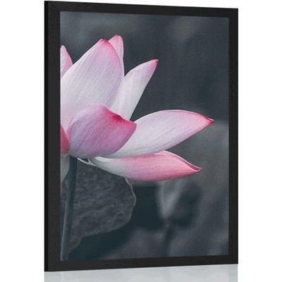 Plakát jemný lotosový květ - 30x45 silver