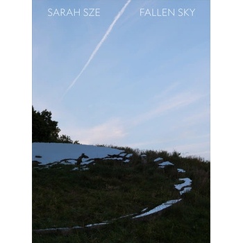 Sarah Sze: Fallen Sky