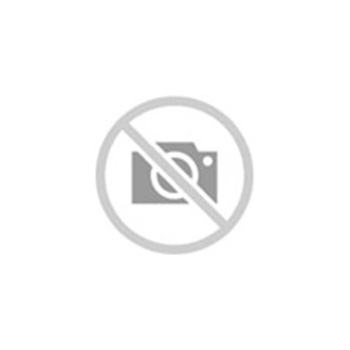 Gripmax Suregrip A/S Van 245/40 R21 100W