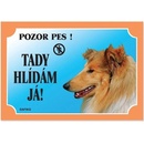 Dafiko Tabulka kólia 1 ks