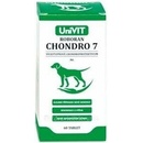Roboran Chondro 7 pro psy 60tbl