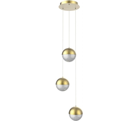 Apeti A0031331
