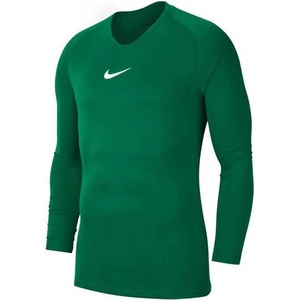 Nike teamwear Блуза y nk df park 1stlyr jsy (av2611-302)