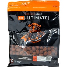 The Ultimate Dumbell Strawberry Big Fish 12/16 mm 1 kg