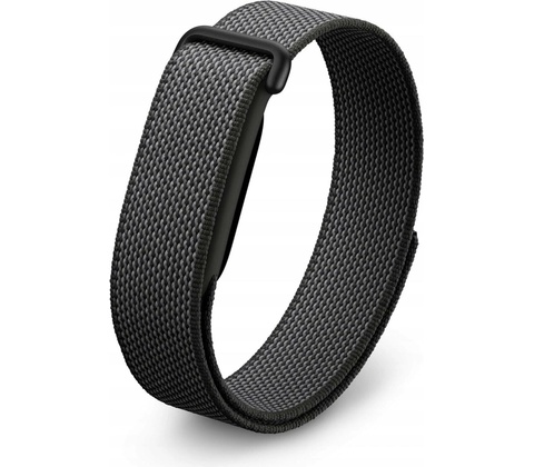 Google Fitbit Air