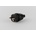 Kalthoff 0.342 G