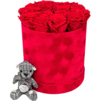 In eterno červený zamatový okrúhly box "L" 15 červených ruží s príveskom macko