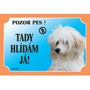 Dafiko Tabulka čínský chocholatý pes