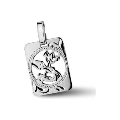 Šperky4U Stříbrný přívěšek znamení Vodnář ZB51255 2