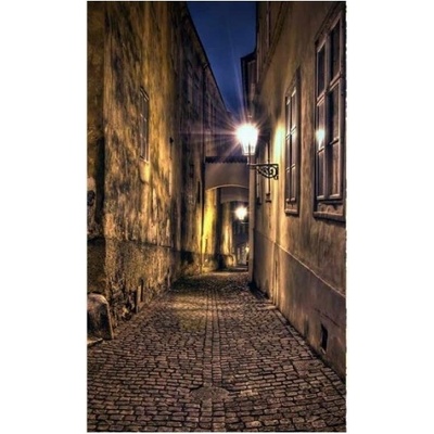 DIMEX ART Флизелинов фототапет алея 150 x 250 см