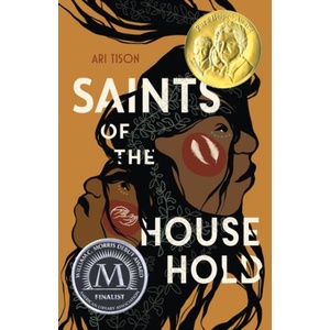 Saints of the Household (ISBN: 9781250907004)