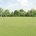 vidaXL Pastevní plot Stříbrná