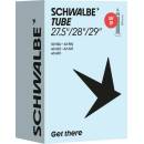 Schwalbe GV