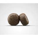 Image 1 of Josera Adult Lamb & Rice 12,5 kg