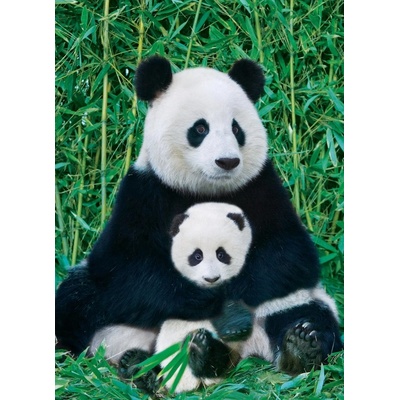 Eurographics Panda a mládě 1000 dielov