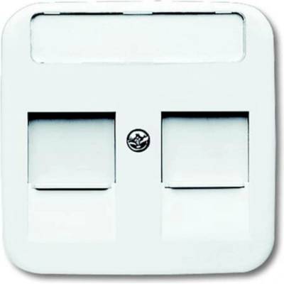 Busch-Jaeger 2CKA001753A8030