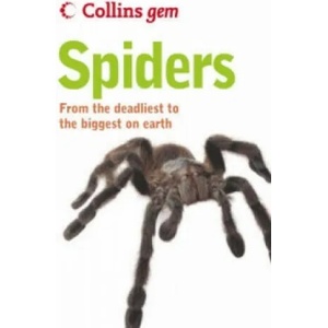 Spiders | Paul Hillyard (ISBN: 9780007191710)