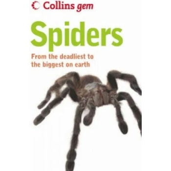 Image 1 of Spiders | Paul Hillyard